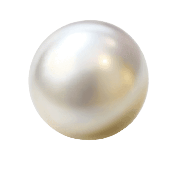 Perle